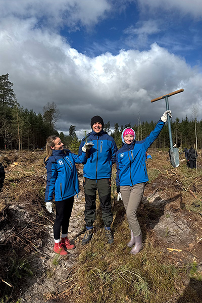 tree planting